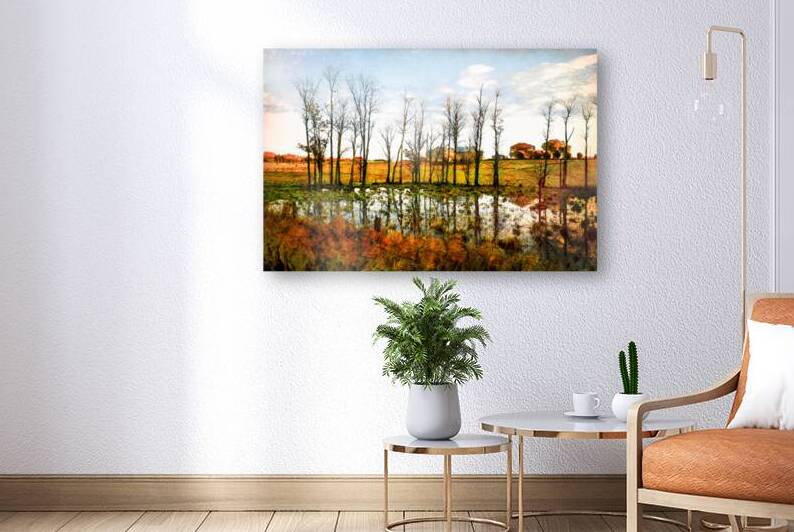 Fall Colours On the Farm by Thea Menagh