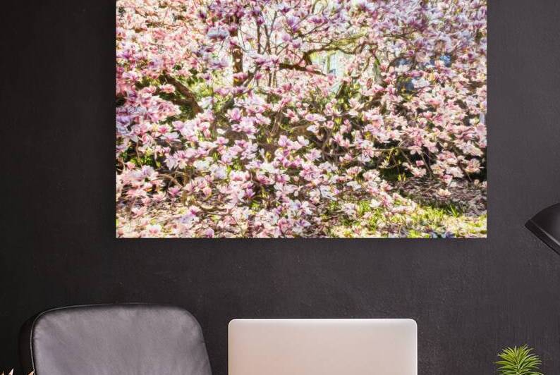 Magnolia Majesty by Thea Menagh