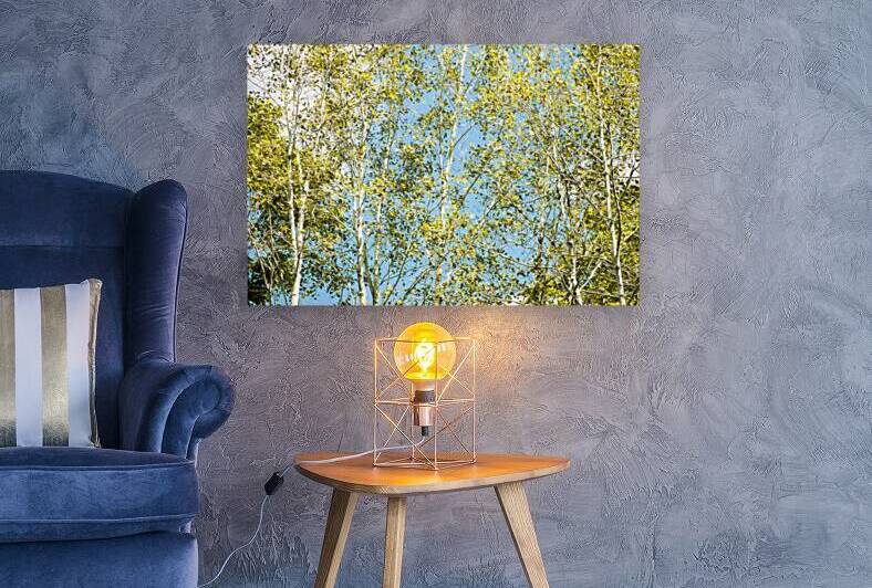 Aspen and Blue Skies by Thea Menagh