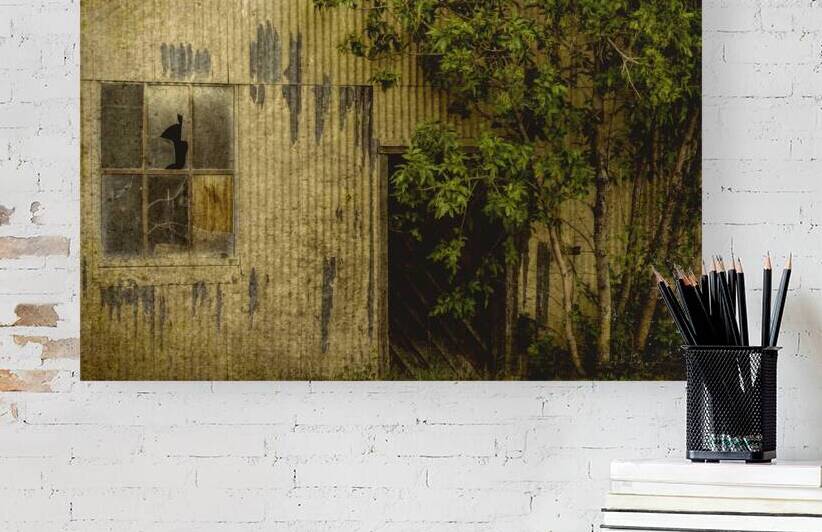 Creepy Shed in Shelby by Thea Menagh