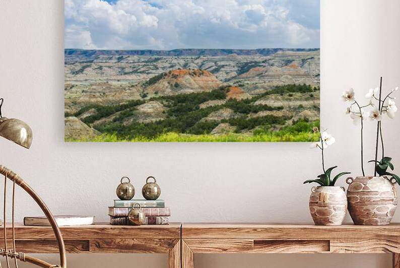 Dakota Badlands Reproduction