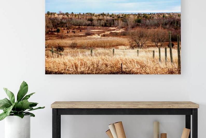 Landscape Around Lake Ontario by Thea Menagh