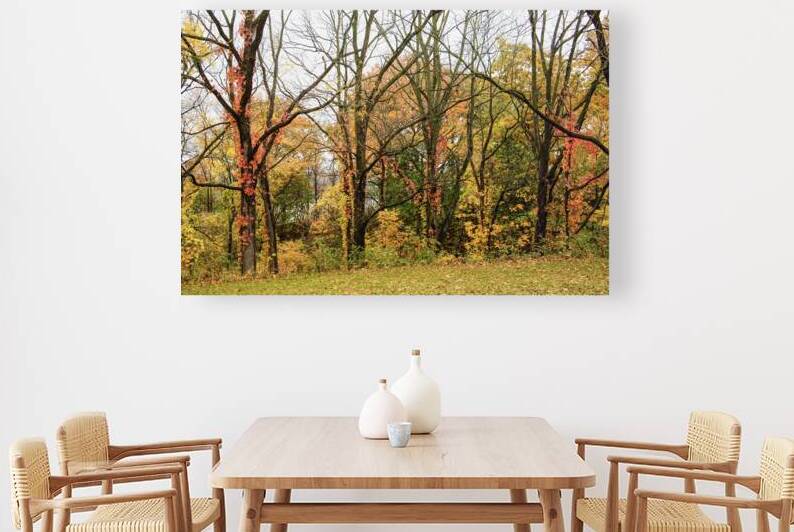 Along the Niagara River by Thea Menagh
