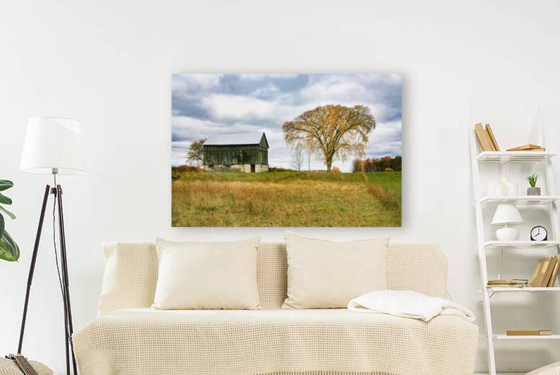 The Field The Barn and the Elm Tree by Thea Menagh