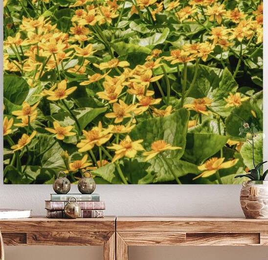 Sunny Yellow Meadow by Thea Menagh
