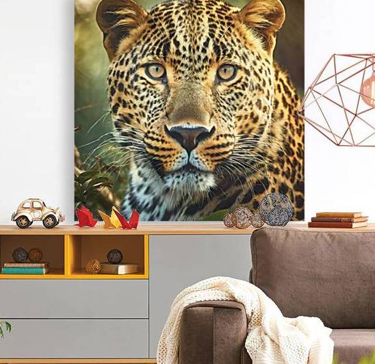 Leopard  Reproduction