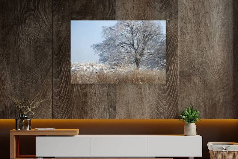 The 2013 Ice Storm in Toronto by Thea Menagh