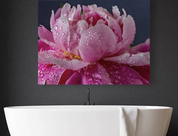 Raindrops on the Peonies by Thea Menagh