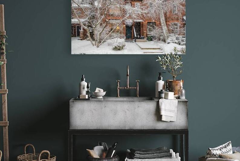 Soft Snowfall in Toronto by Thea Menagh