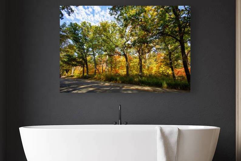 High Park Grandeur by Thea Menagh
