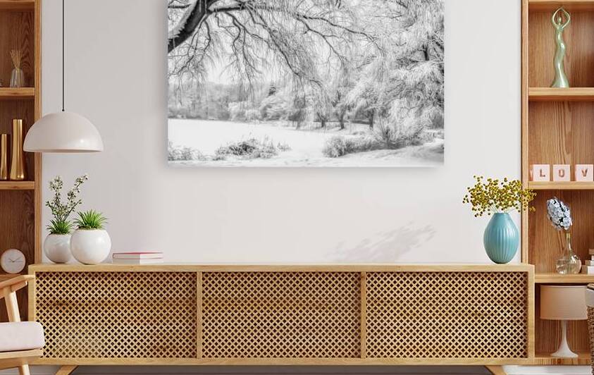 Snowy Grenadier Pond in High Park by Thea Menagh