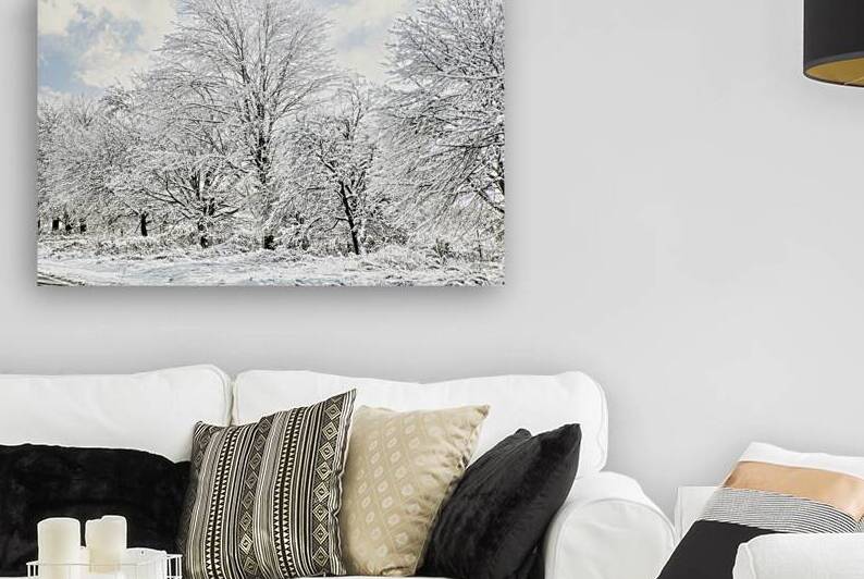 Wrapped in a Blanket of Ice by Thea Menagh
