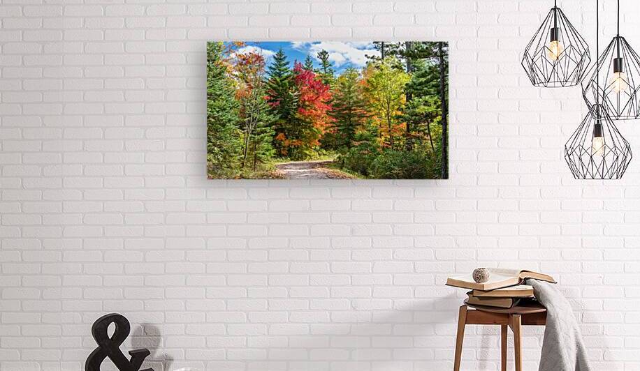 A Dirt Road Less Travelled by Thea Menagh
