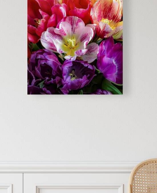 Tulips Come in All Colors Except Blue by Thea Menagh