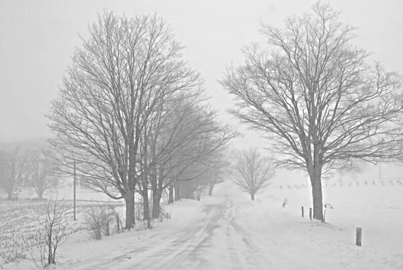 Stick to the Middle of the Road by Thea Menagh