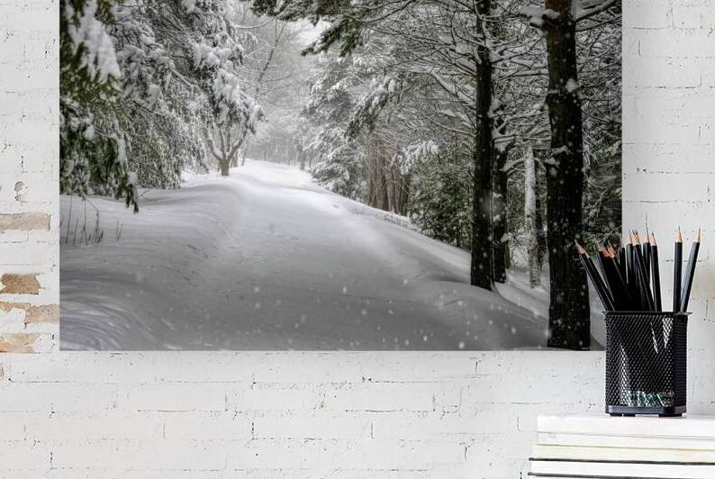 Your Turn to Shovel the Driveway by Thea Menagh