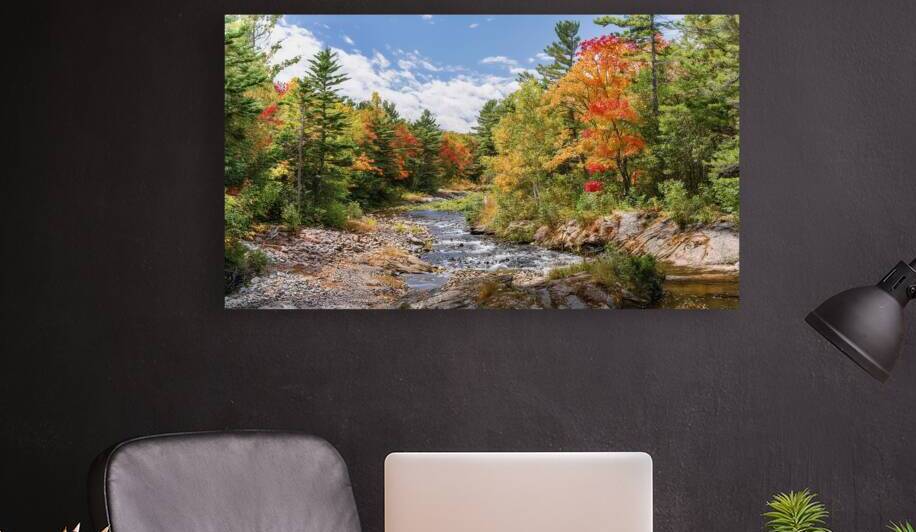 Muskoka colours keep changing by Thea Menagh