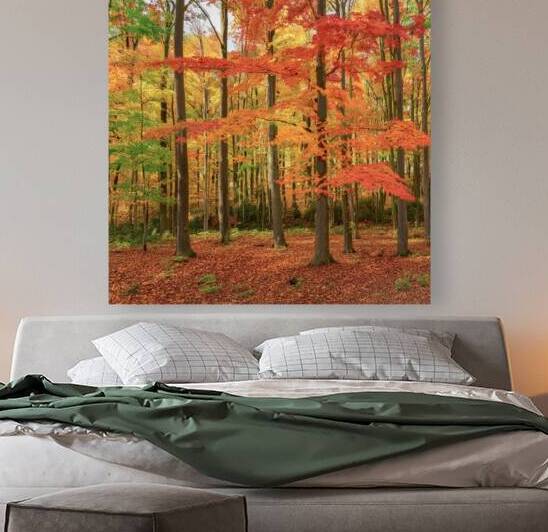 Canadian forest in the fall by Thea Menagh