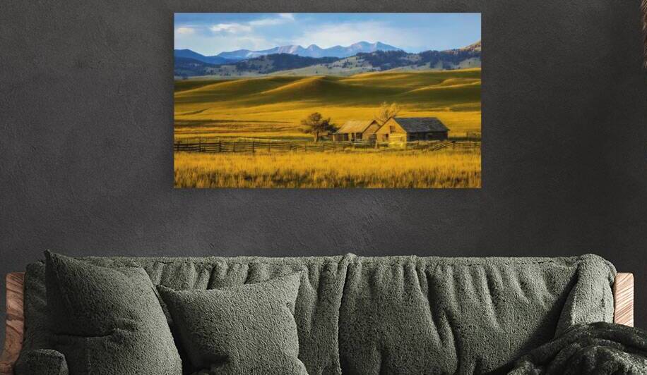 MONTANA VALLEY AND FOOTHILLS GRASSLANDS by Thea Menagh