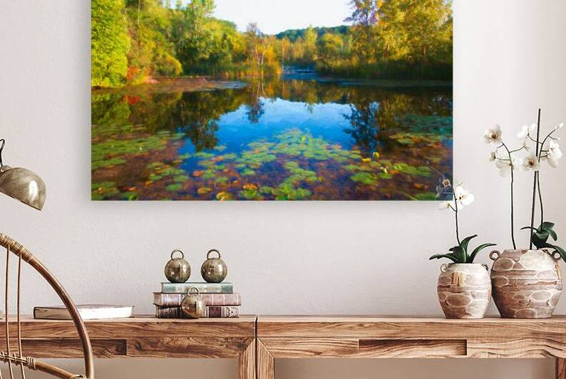 LILY POND AT THE BRICKWORKS by Thea Menagh
