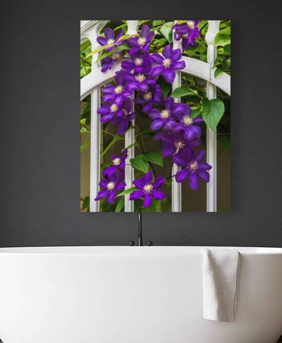 CLIMATIS ON THE TRELLIS by Thea Menagh