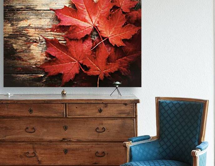 Proud to Be a Canadian by Thea Menagh