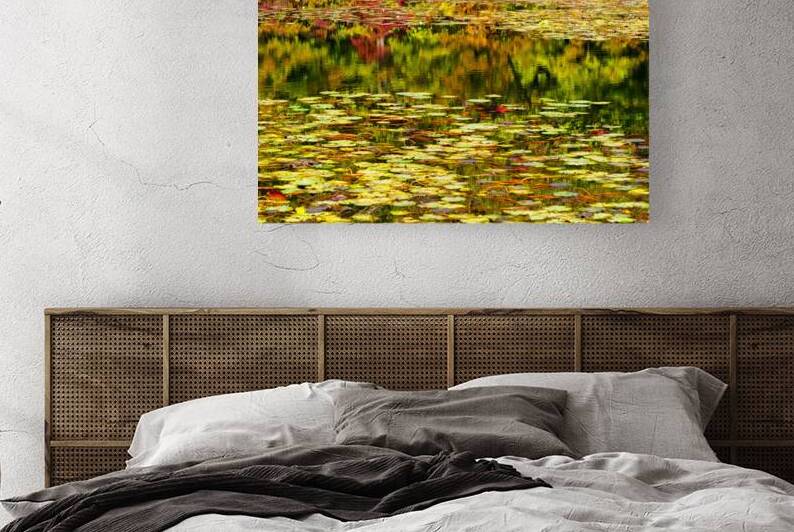 Reflections in the Lily Pond by Thea Menagh