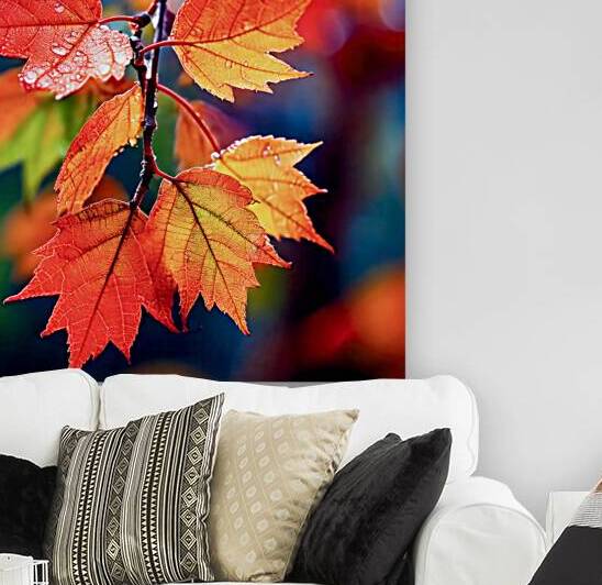 Wet Maple Leaves by Thea Menagh