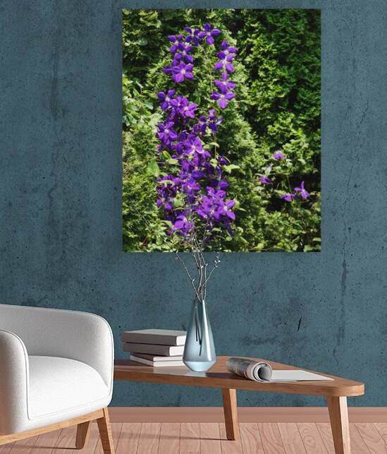 Climatis on the Cedars by Thea Menagh