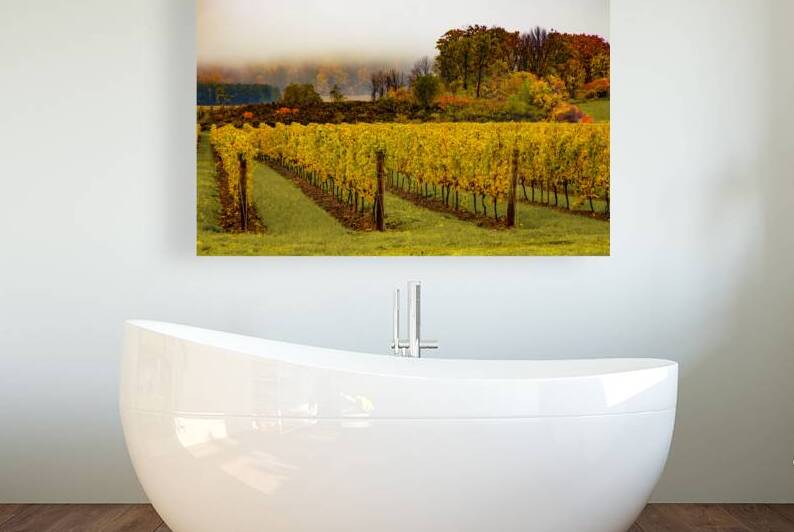 Niagara Vineyard Route by Thea Menagh