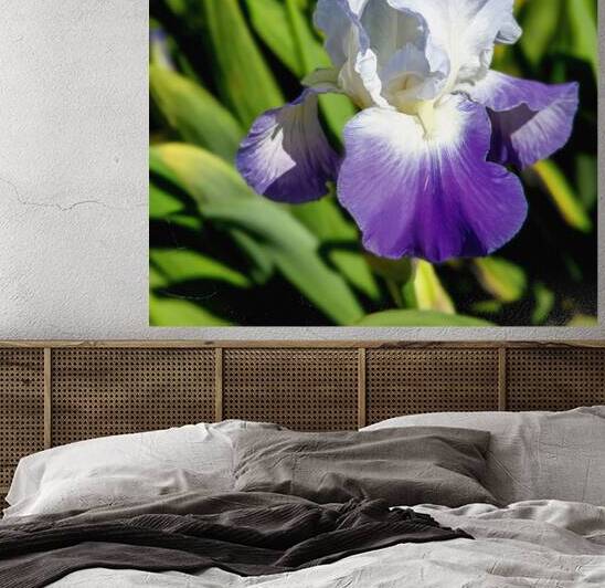 Iris is a Favourite Flower of Many by Thea Menagh