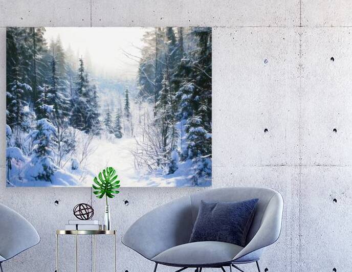 Winter Hiking Trail by Thea Menagh