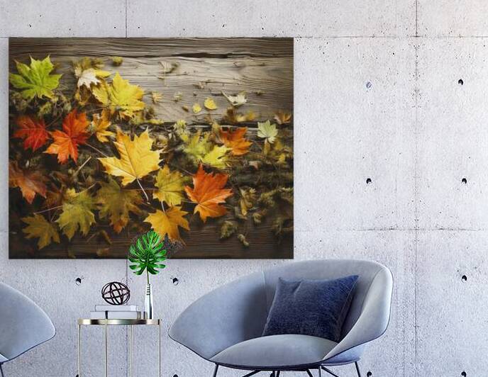 Maple Leaves on the Porch by Thea Menagh