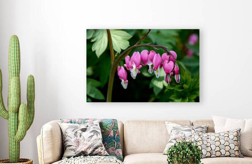 Bleeding Hearts in Our Back Yard by Thea Menagh