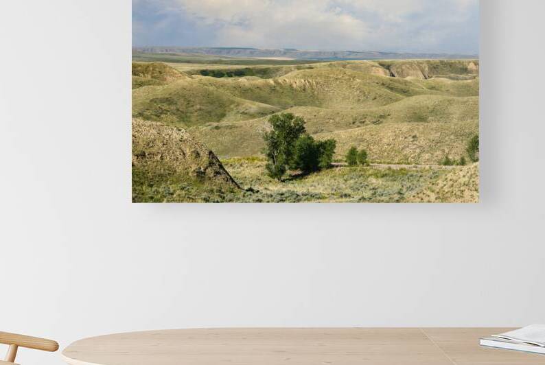 Near Shelby in Alberta Grasslands by Thea Menagh