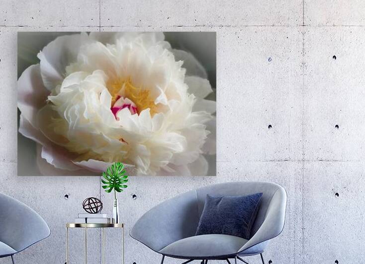 Transparent Peony Petals by Thea Menagh