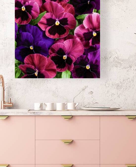 Pansies Making a Perfect Impression by Thea Menagh