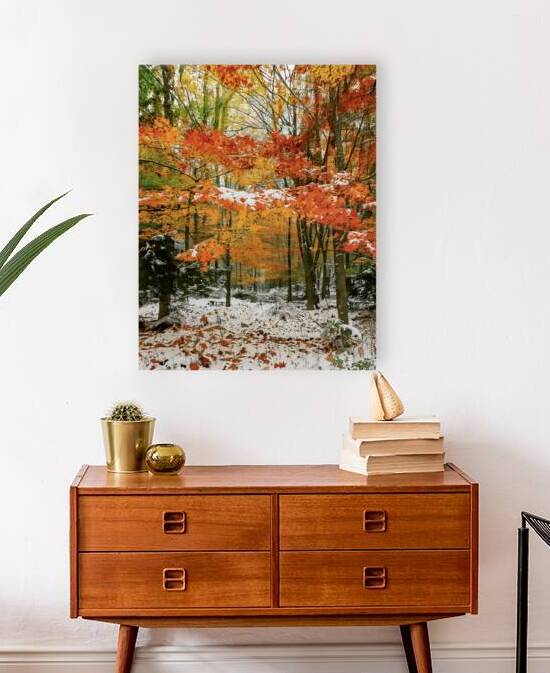 First Snow in the Fall Forest by Thea Menagh