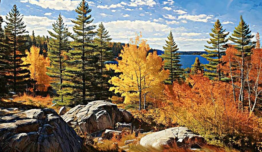 Trees and Rocks in Algonquin Park by Thea Menagh