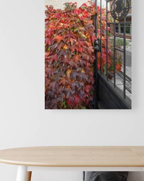 A Scottish Entry in Toronto by Thea Menagh