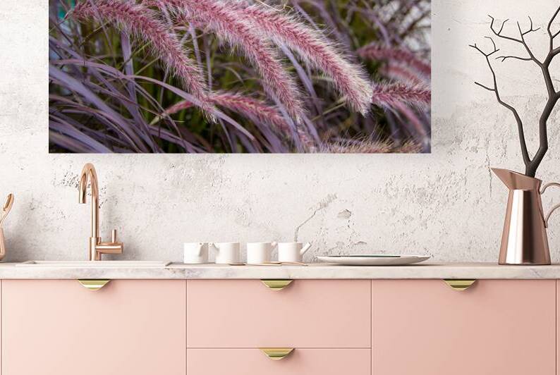 Purple Fountain Grass by Thea Menagh