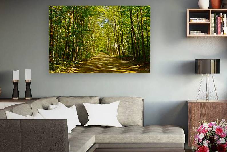 Peaceful Bancroft Side Road by Thea Menagh