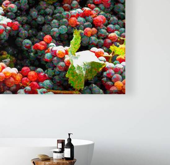 Grapes Just Picked Reproduction