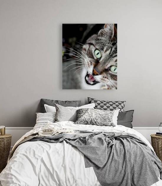 Chatty Cat Following Me by Thea Menagh