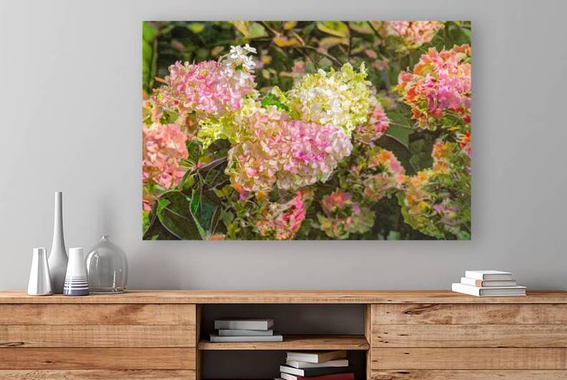 Hydrangeas in All Their Glory by Thea Menagh