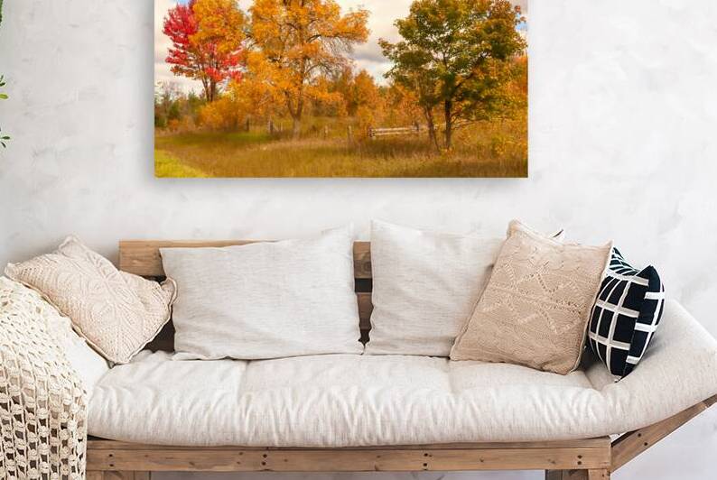 Much More Than Just Trees by Thea Menagh