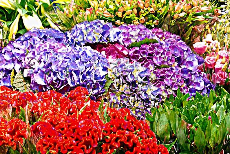 Flowers in Bunches by Thea Menagh