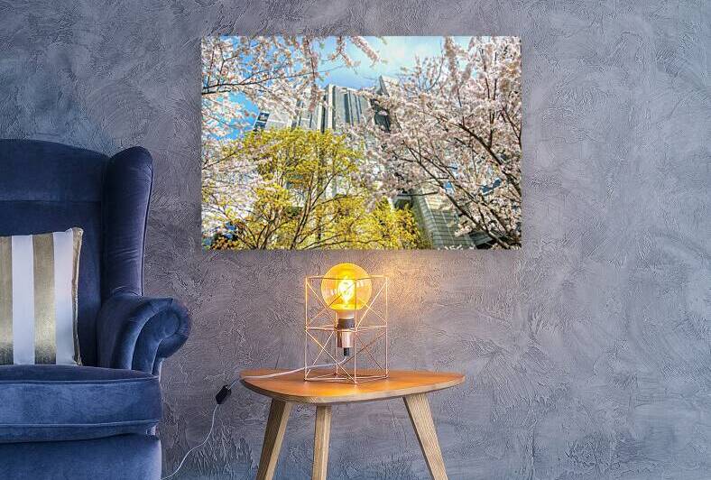 John Roberts Library Cherry Trees by Thea Menagh