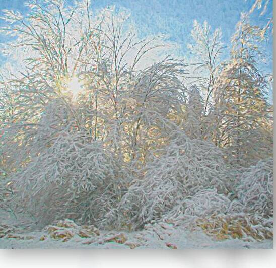 After the Ice Storm Reproduction