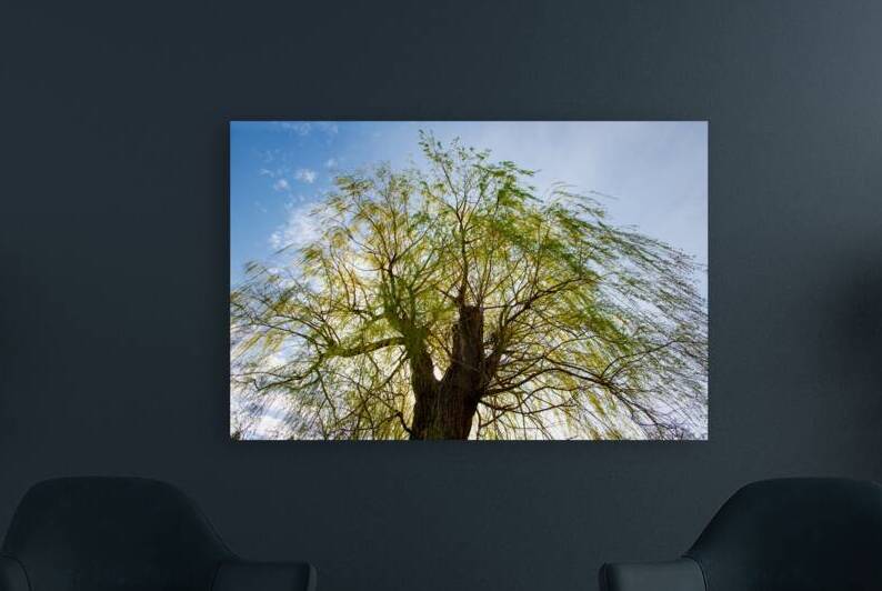 Healing of the Weeping Willow Tree by Thea Menagh
